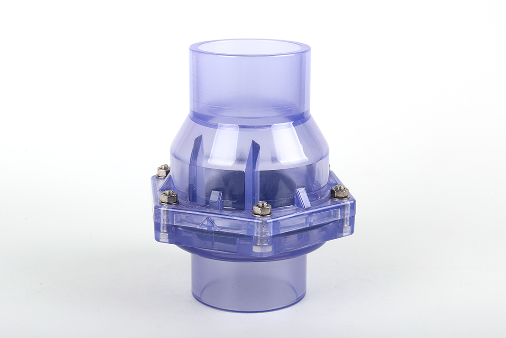 金州透明翻板式止回阀